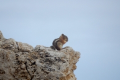 2016-08-27_17-40-07_00125