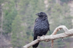 2016-08-27_18-12-08_00177