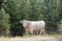 2016-08-27_18-33-57_00198