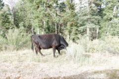 2016-08-27_18-34-20_00199