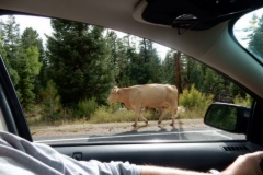 2016-08-27_18-34-35_00200