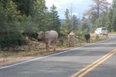 2016-08-27_18-34-46_00201