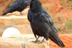 2016-08-27_18-50-50_00221