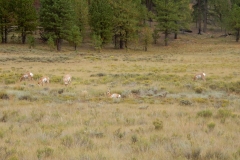 2016-08-27_19-39-28_00244