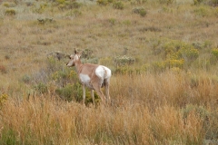 2016-08-27_19-39-58_00245