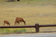 2016-08-27_19-42-49_00246