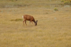 2016-08-27_19-42-53_00247