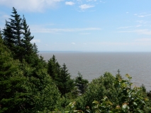 2017-07-11_13-11-24_00111