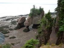 2017-07-12_07-04-29_00115