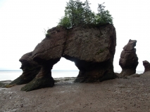 2017-07-12_07-08-17_00119