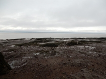 2017-07-12_07-10-49_00125