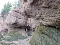 2017-07-12_07-10-59_00127