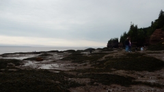 2017-07-12_07-19-56_00133