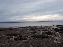 2017-07-12_09-20-21_00070