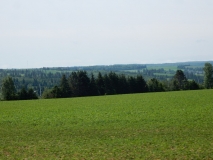 2017-07-18_09-44-31_00027