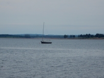 2017-07-18_11-14-19_00044