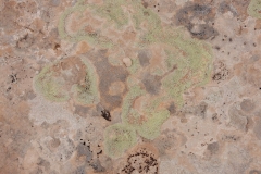 2016-08-22_10-50-15_00008