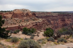 2016-08-22_11-41-13_00015