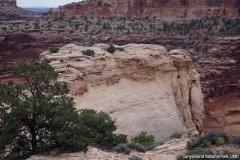 2016-08-22_11-42-18_00021