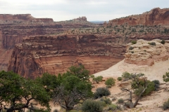 2016-08-22_11-42-23_00022