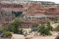 2016-08-22_11-42-52_00024