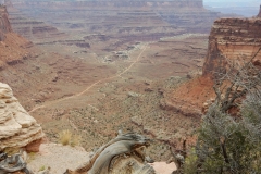 2016-08-22_11-46-31_00027