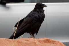 2016-08-22_13-44-23_00102