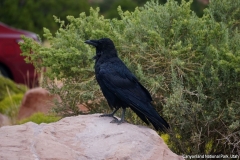 2016-08-22_13-44-32_00103