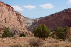 2016-08-24_13-04-19_00045