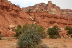 2016-08-24_13-57-52_00071