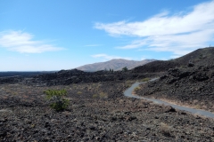 2016-08-10_14-59-07_00131