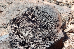 2016-08-10_15-01-52_00138