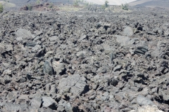 2016-08-10_15-13-51_00146