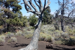 2016-08-10_15-29-25_00156