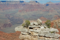 2016-08-28_18-02-37_00030