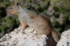 2016-08-28_18-12-20_00057