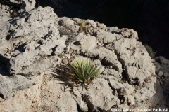 2016-08-28_18-14-45_00059