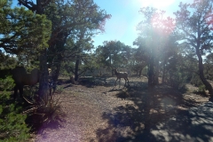 2016-08-28_18-34-34_00077