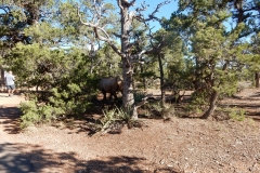 2016-08-28_18-34-50_00078