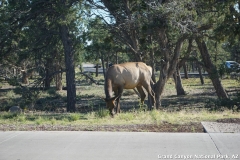 2016-08-28_18-53-46_00090