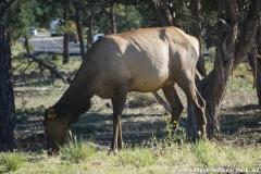 2016-08-28_18-53-51_00091