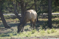 2016-08-28_18-54-07_00092