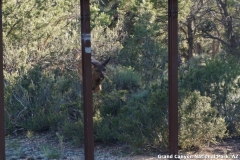 2016-08-28_19-32-44_00104