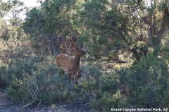 2016-08-28_19-32-55_00105