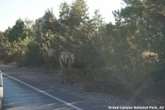 2016-08-28_19-33-12_00106