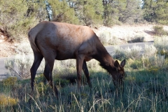 2016-08-28_19-34-08_00107