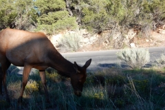 2016-08-28_19-34-22_00108