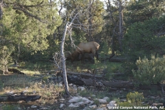 2016-08-28_19-47-59_00129