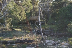 2016-08-28_19-48-04_00130