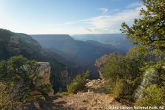 2016-08-28_20-02-12_00138